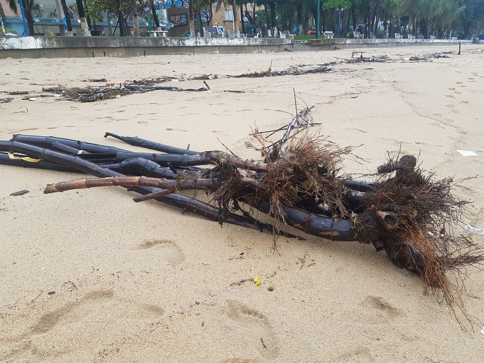 Nha Trang: Bãi biển bị rác từ thượng nguồn "tấn công" sau mưa lũ - 4 Nha Trang: Bãi biển bị rác từ thượng nguồn "tấn công" sau mưa lũ - 4