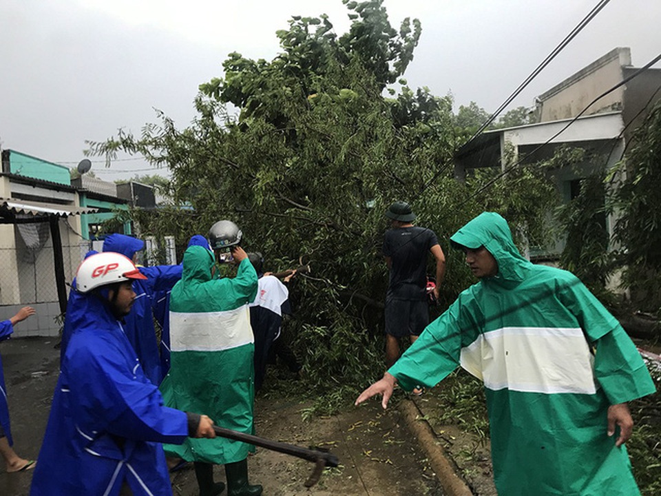 Một ngày căng mình chống bão ở xã đảo “nội bất xuất, ngoại bất nhập” - 6 Gió giật mạnh đã làm cho cây xanh gãy đổ