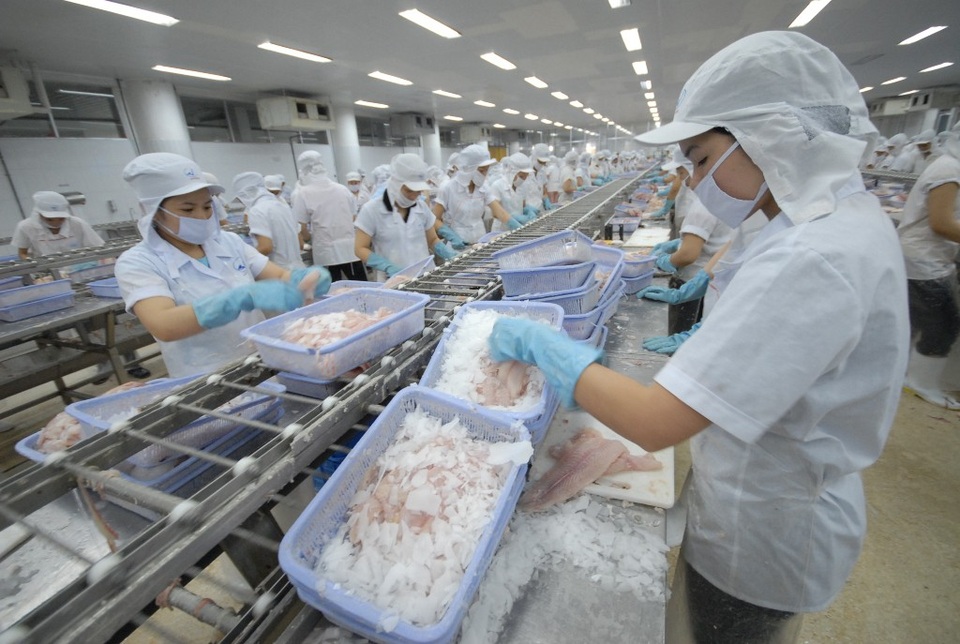 Phát triển ngành cá tra theo hướng bền vững và bảo vệ môi trường - 2 Tính đến 9/2018 sản lượng xuất khẩu cá tra đạt hơn 88.788 tấn, kim ngạch xuất khẩu 213,4 triệu USD.