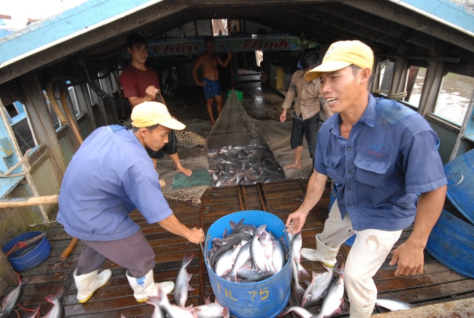 Phát triển ngành cá tra theo hướng bền vững và bảo vệ môi trường - 4 Trong năm 2019 và những năm tiếp theo, An Giang tiếp tục phát triển ngành cá tra theo hướng bền vững, gắn liền với bảo vệ môi trường, áp dụng công nghệ cao vào trong nuôi trồng và chế biến.