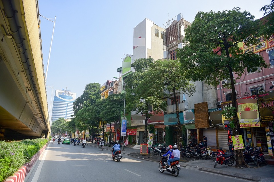 Hoa sữa tỏa mùi nồng nặc ở Hà Nội - 12
Những cây hoa sữa lớn nở áp sát các cửa sổ nhà mặt phố.