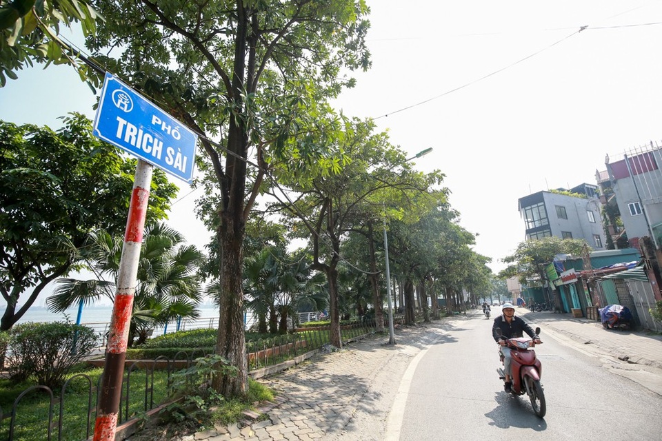 Hoa sữa tỏa mùi nồng nặc ở Hà Nội - 1
Mới đấy tại buổi tiếp xúc cử tri đoàn đại biểu Quốc hội TP Hà Nội, sau khi có ý kiến của cử tri về vấn đề mùi nồng nặc của hoa sữa, Chủ tịch UBND TP Hà Nội Nguyễn Đức Chung cho biết thời gian tới sẽ đánh chuyển bớt các cây hoa sữa ở một số tuyến phố có mật độ cao sang nơi khác. Trong nội thành, các tuyến phố có nhiều dây hoa sữa là Trần Duy Hưng, Trích Sài, Nguyễn Chí Thanh...