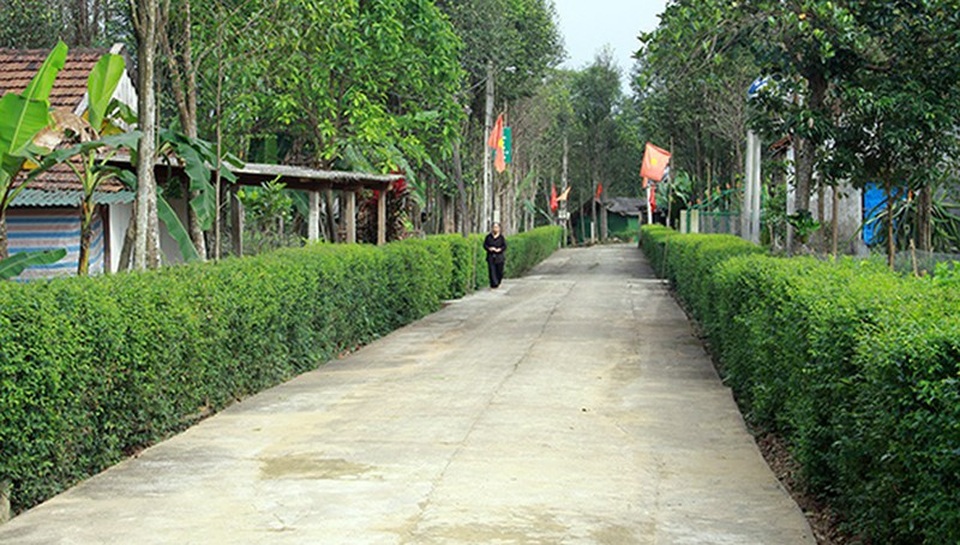 Phó Thủ tướng ngạc nhiên trước sức bật của thôn từng nghèo khó bậc nhất vùng rốn lũ - 4
Những khu vườn với hàng rào xanh ở thôn Nam Trà tạo ấn tượng mạnh.