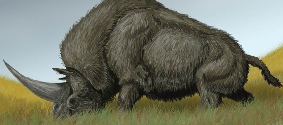Lần đầu tiên phân tích được DNA của loài kỳ lân Siberia bí ẩn - 1 Hình ảnh mô tả được cho là loài kỳ lân Siberia.