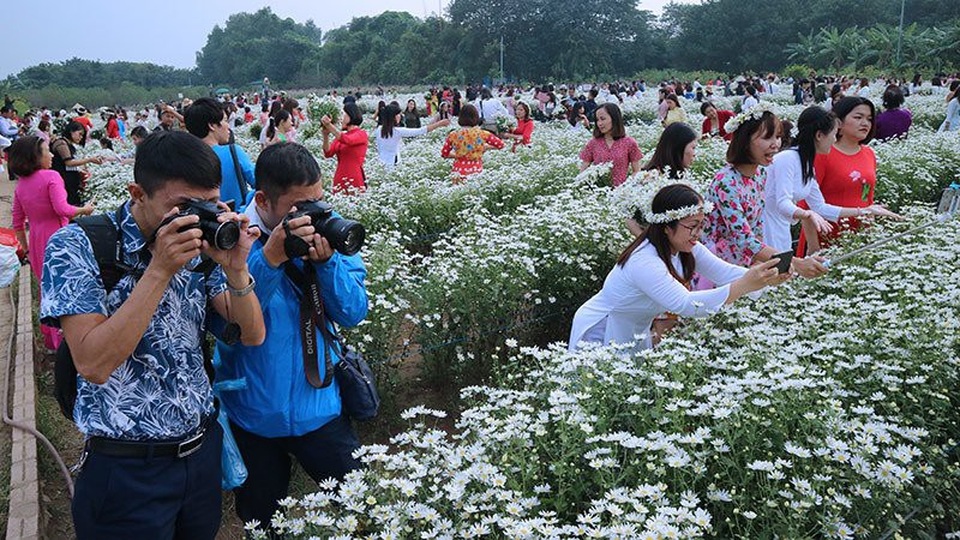 Vườn cúc họa mi 'thất thủ' vì quý cô Hà thành làm điều này - 14 Vườn cúc họa mi 'thất thủ' vì quý cô Hà thành làm điều này - 14