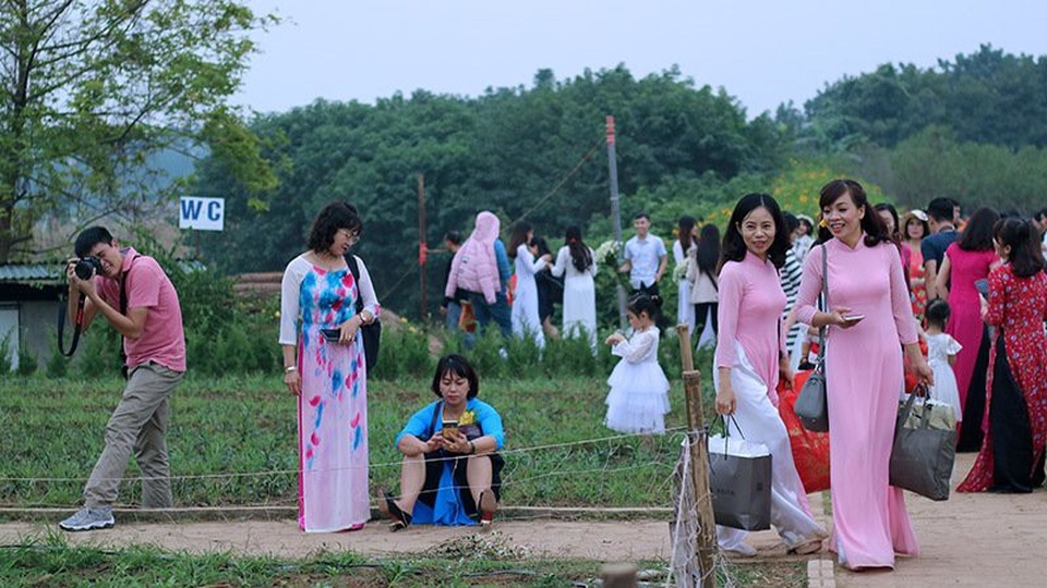Vườn cúc họa mi 'thất thủ' vì quý cô Hà thành làm điều này - 16 Sau vài giờ len lách tìm cảnh, tạo dáng, không ít người phải ngồi nghỉ ngơi do thấm mệt.