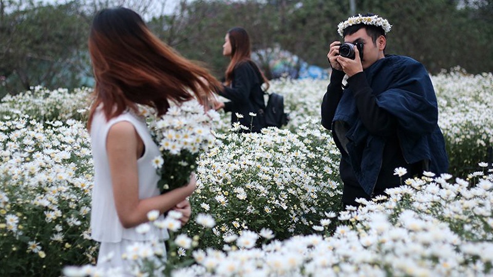 Vườn cúc họa mi 'thất thủ' vì quý cô Hà thành làm điều này - 10 Vườn cúc họa mi 'thất thủ' vì quý cô Hà thành làm điều này - 10