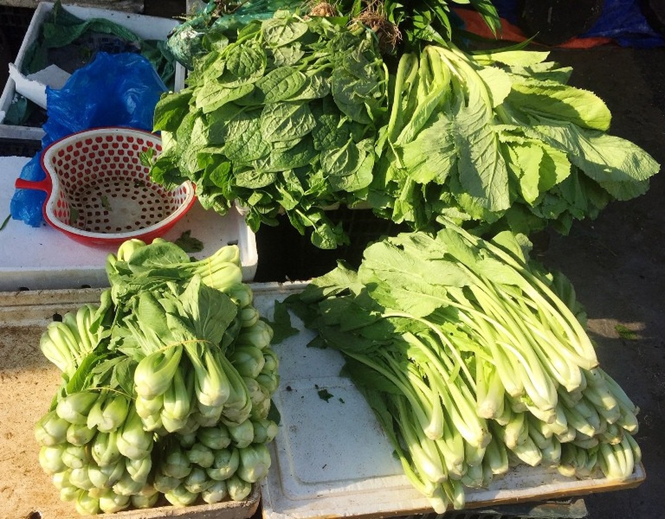 Rau cải ngọt tăng từ 30.000 đồng/1kg lên 32.000 đồng/1kg.