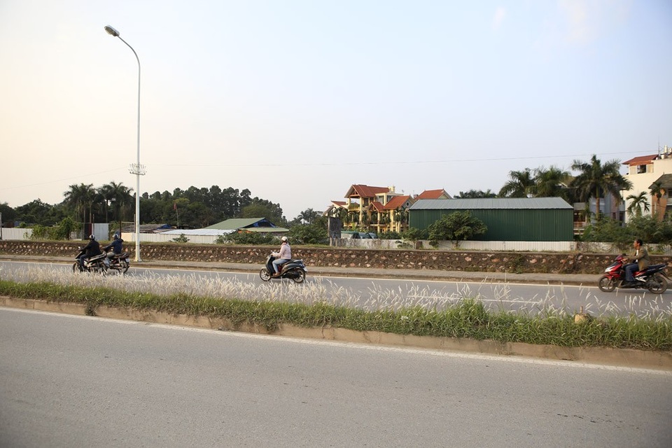 Con đường cỏ lau trắng muốt hiếm gặp ở Hà Nội - 12 Con đường cỏ lau trắng muốt hiếm gặp ở Hà Nội - 12