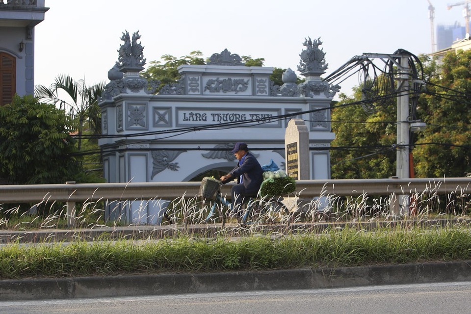 Con đường cỏ lau trắng muốt hiếm gặp ở Hà Nội - 13 Con đường cỏ lau trắng muốt hiếm gặp ở Hà Nội - 13