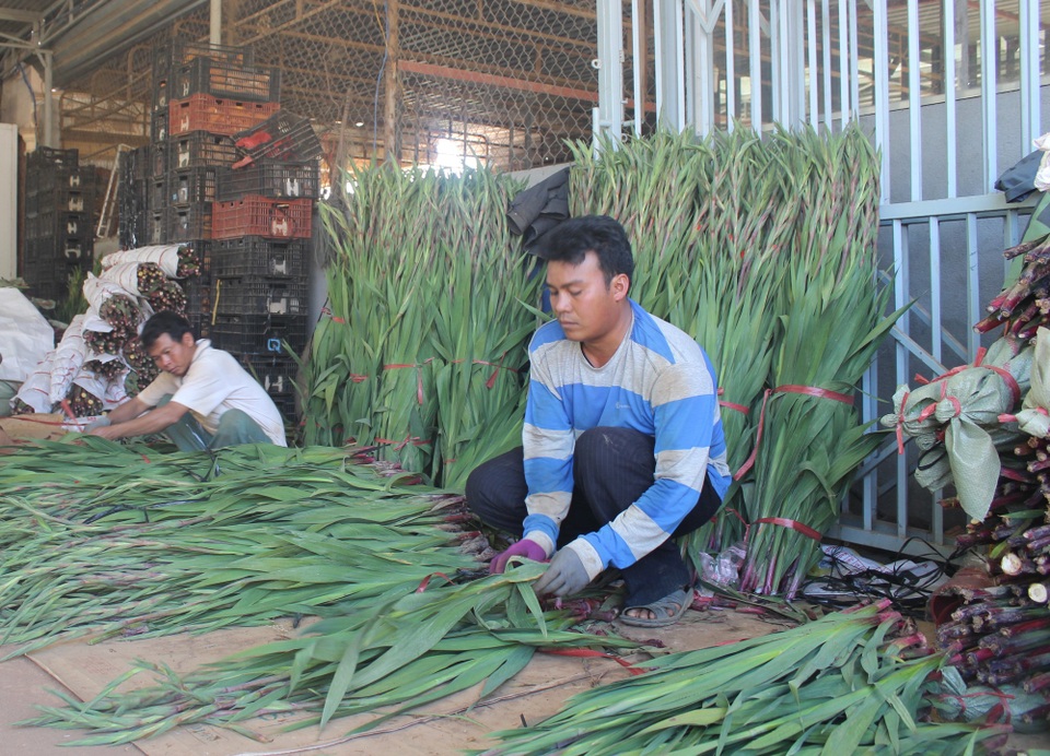 Lâm Đồng: Dạy nghề miễn phí cho gần 1.300 người dân tộc thiểu số - 1 Mỗi năm, tỉnh Lâm Đồng đào tạo nghề cho khoảng 1.300 lao động là người đồng bào dân tộc thiểu số (ảnh minh họa)