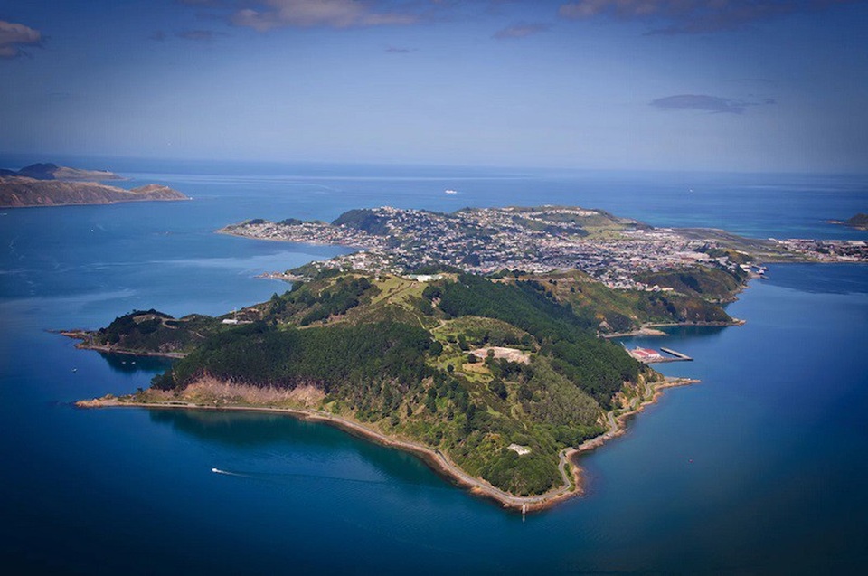 Các hòn đảo của New Zealand đang từ từ xích lại gần nhau - 1
Wellington, New Zealand nhìn từ trên cao. Một nghiên cứu mới đây cho biết trận động đất Kaikoura đã đẩy Mũi Campbell ở bờ bắc Đảo Nam tiến gần 35 cm về phía thành phố Wellington nằm ở ngay Eo Cook của Đảo Bắc.