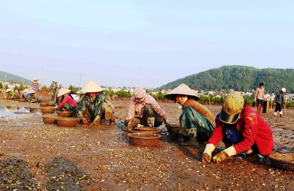 Người dân vô cùng hoang mang lo lắng.