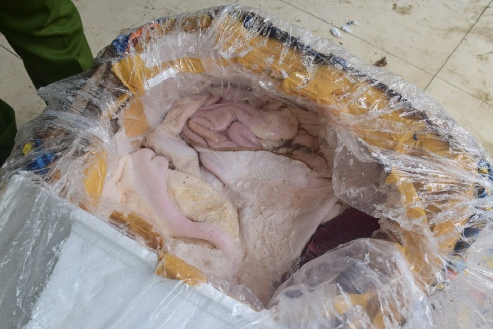 Phát hiện hơn 2,5 tấn nội tạng động vật không nguồn gốc - 2 Xe khách mang biển số Lào đã vận chuyển số lượng lớn nội tạng động vật không nguồn gốc này