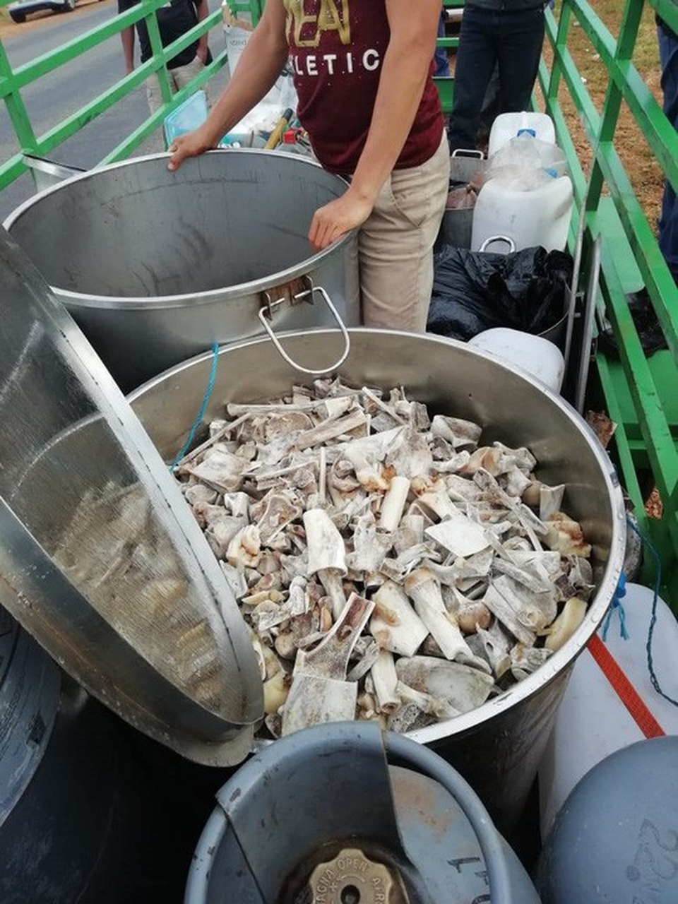 Nam Phi: 6 người Việt ra tòa vì cáo buộc nấu cao hổ, sư tử - 1
Xương hổ và sư tử được tìm thấy trong vụ bắt giữ. Ảnh: Hawks