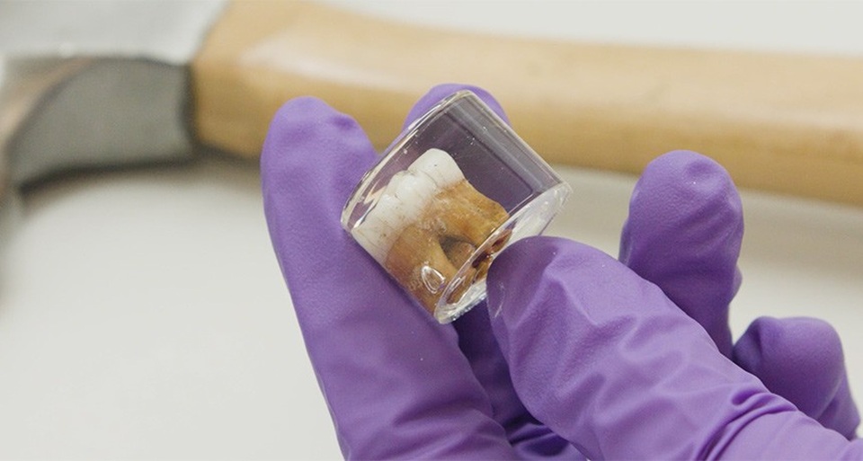 Răng người Neanderthal tiết lộ dấu hiệu tiếp xúc với chì sớm nhất - 1 Răng người Neanderthal tiết lộ dấu hiệu tiếp xúc với chì sớm nhất - 1