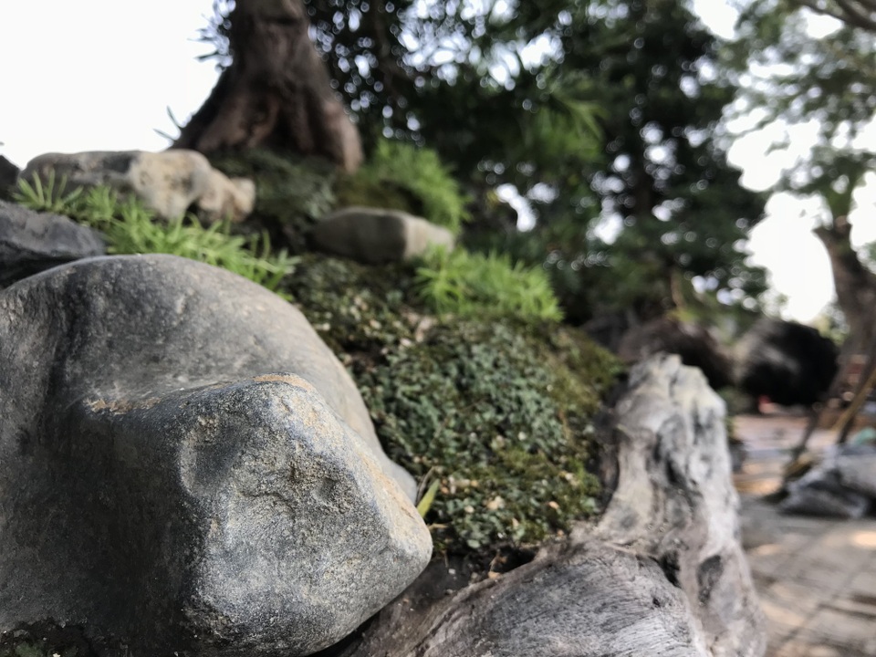Thuyền vạn niên tùng siêu "khủng", hàng trưng bày chứ không bán - 2 Đá trang trí