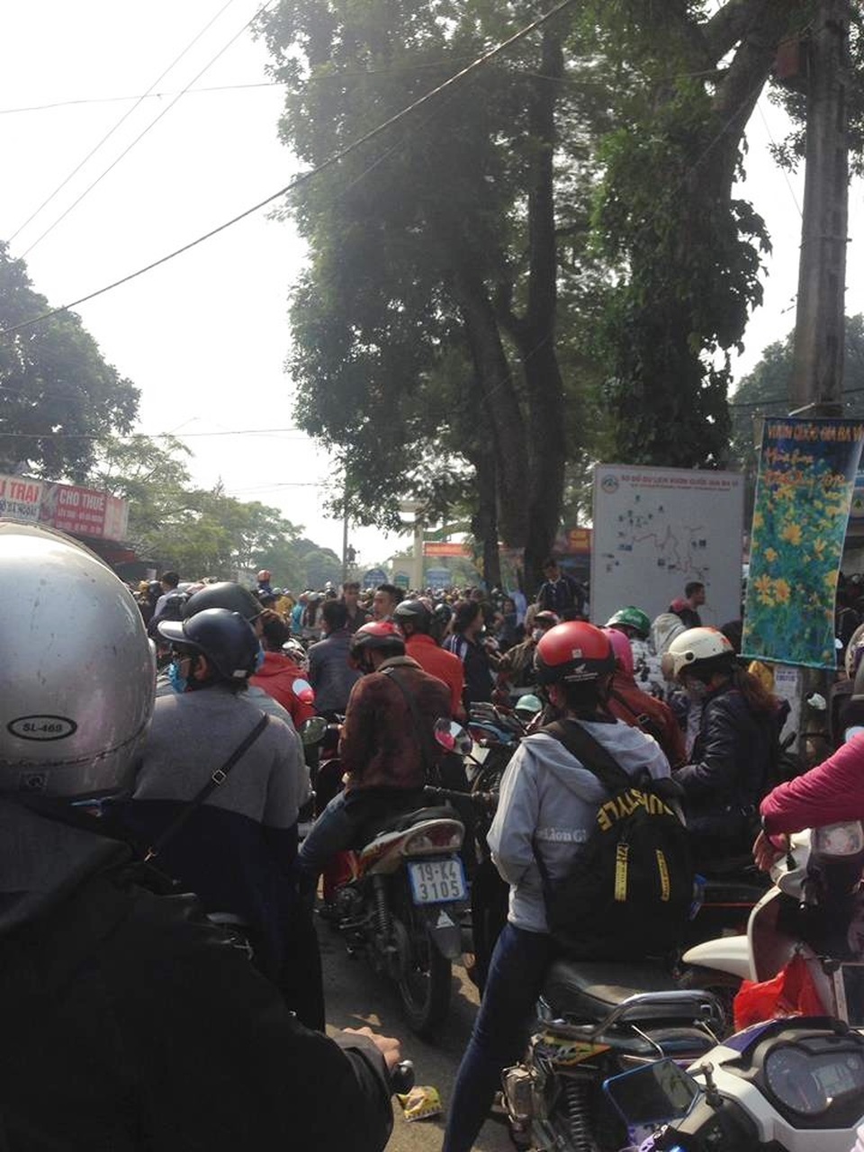 Không chỉ có du khách ở Hà Nội, nhiều người ở các tỉnh xa như: Vĩnh Phúc, Phú Thọ, Hải Dương, Hưng Yên… cũng đổ về đây ngắm hoa dã quỳ nở. Ảnh: Facebook Hiển Hách