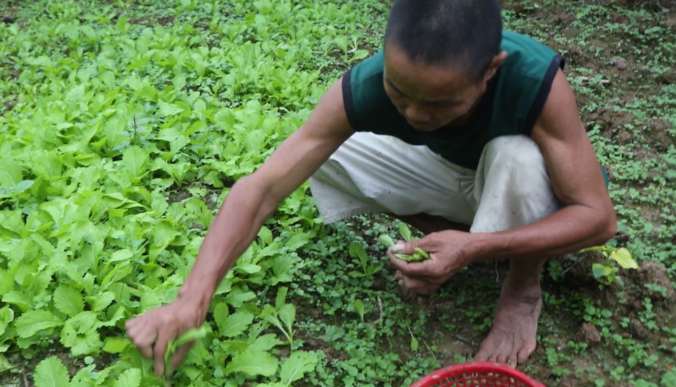 Xót thương cuộc sống khốn cùng của gia đình bị "trời đày" - 10 Hằng ngày anh ở nhà vừa chăm sóc con bệnh tật nằm một chỗ, anh hái nắm rau trong vườn để lo từng bữa ăn ...