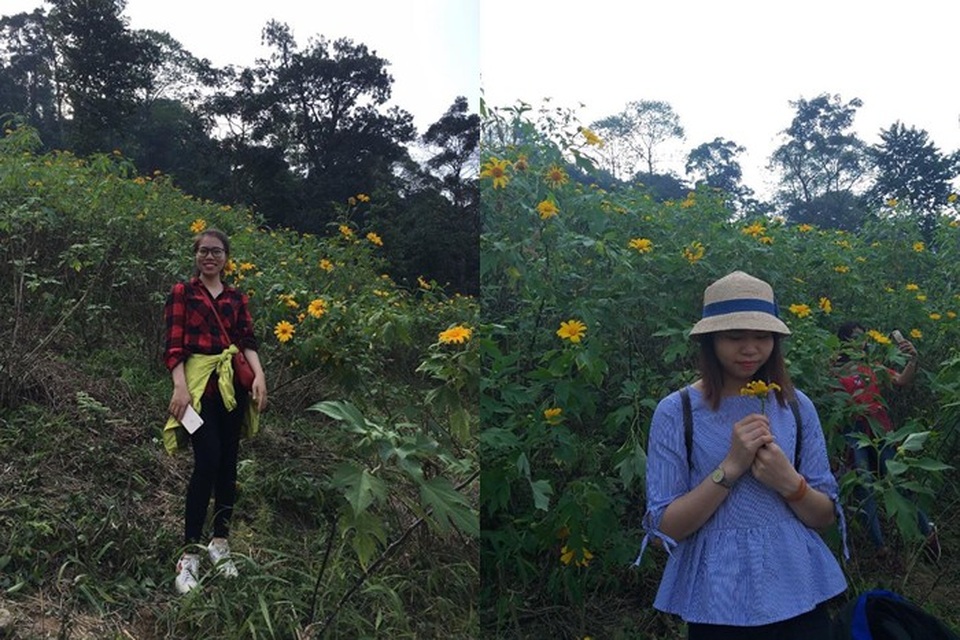 Nằm cách Hà Nội 60km về phía Tây Bắc, Ba Vì được đánh giá là điểm du lịch gần, hấp dẫn. Nếu tới đây, du khách chỉ cần bỏ ra 1-2h chạy xe máy hoặc ô tô. Ba Vì có khí hậu gần giống Tam Đảo, nhiều cảnh sắc thơ mộng và đặc sản núi rừng. Vì thế, đây được xem như là địa điểm lý tưởng được nhiều bạn trẻ lựa chọn đến trong những dịp cuối tuần. Vào tháng 11, Ba Vì thu hút đông khách nhờ mùa hoa dã quỳ nở rộ. Tuy nhiên để tránh việc quá tải, đông đúc bạn nên tranh thủ đi vào các ngày trong tuần. Ảnh: Quỳnh Thi