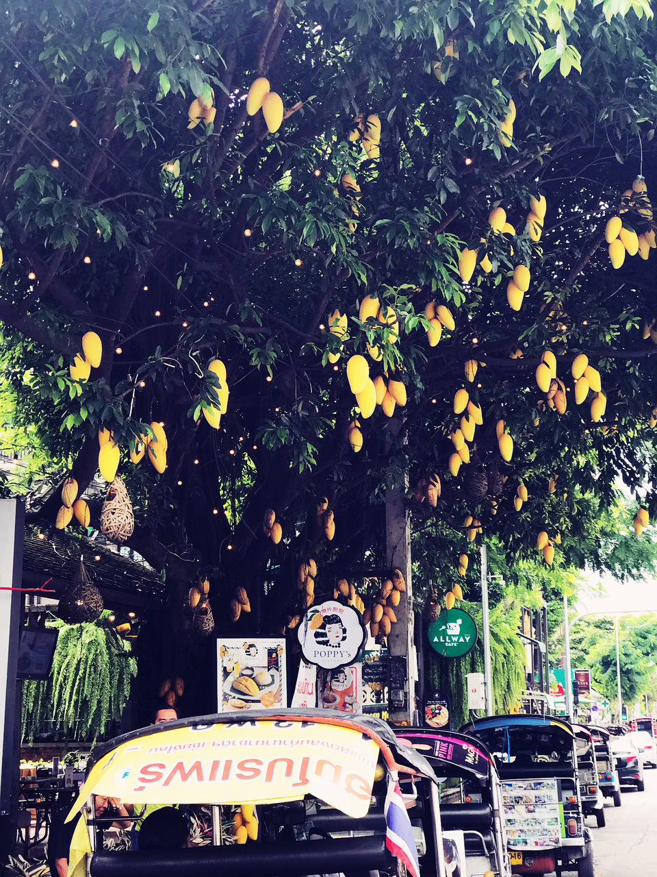 Sống chậm ở Chiang Mai - 1 Sống chậm ở Chiang Mai - 1