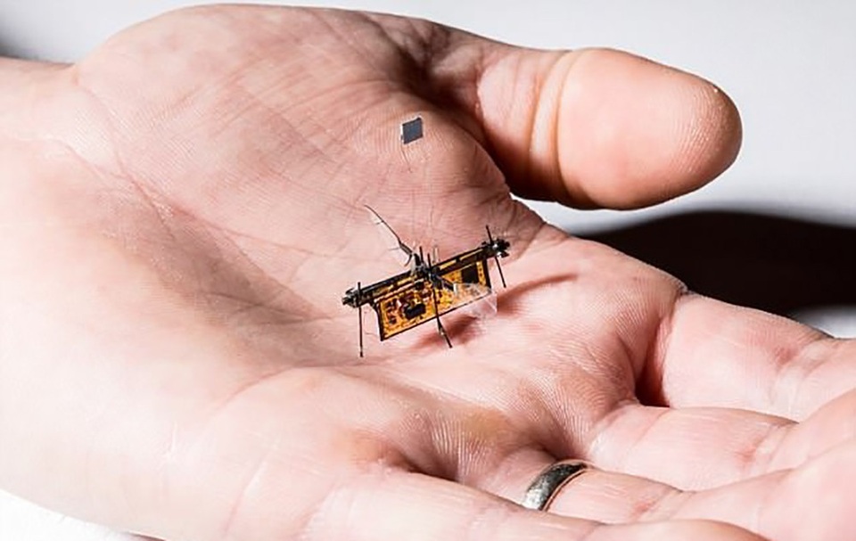 Lộ diện loài robot siêu nhỏ chỉ nhẹ như… que tăm, có thể bay được - 1 RoboFly có kích thước cực nhỏ nhắn đem lại hi vọng về những nhiệm vụ quan trọng trong cứu hộ, cứu nạn.