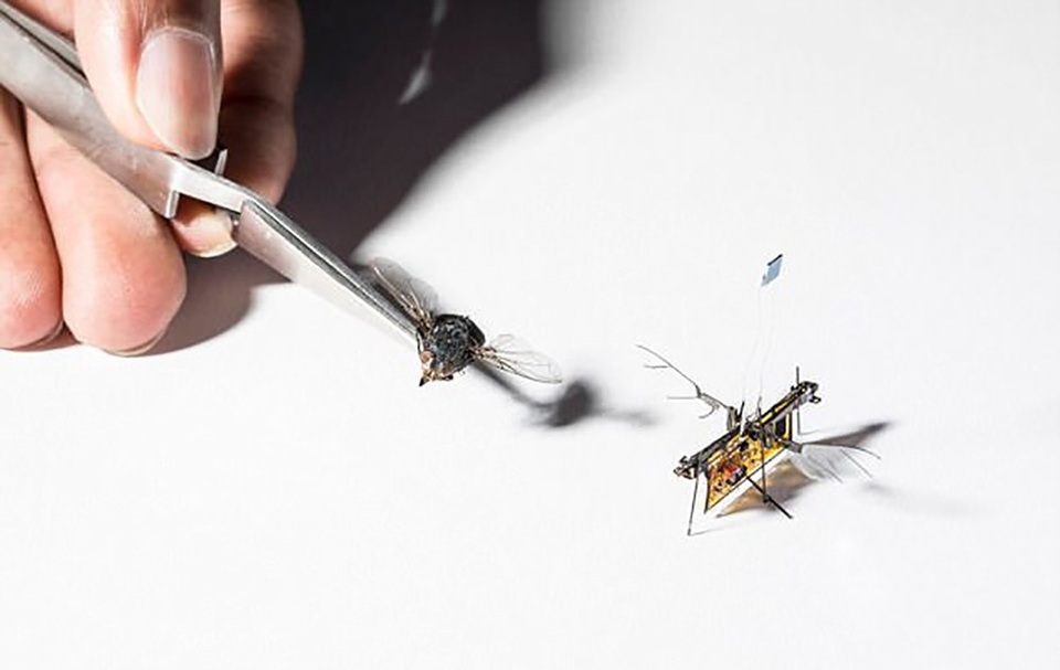 Lộ diện loài robot siêu nhỏ chỉ nhẹ như… que tăm, có thể bay được - 2 RoboFly có khả năng bay lên được.