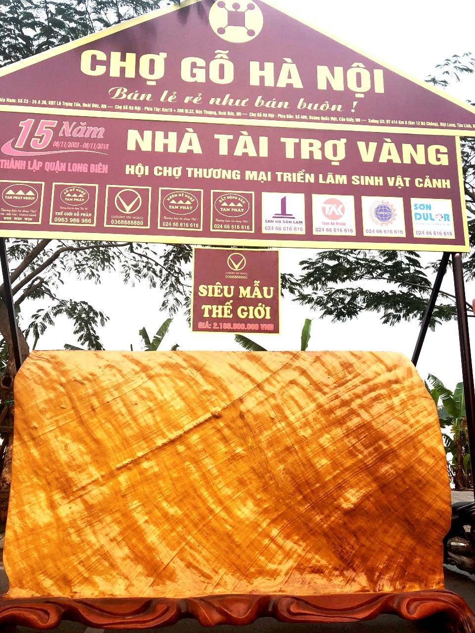 Chợ gỗ Hà Nội trình làng hàng loạt siêu phẩm tiền tỷ - 4
Tác phẩm Siêu mẫu thế giới độ mỏng chỉ 8cm, được sinh ra từ mảnh thân cây Thị Việt Nam
