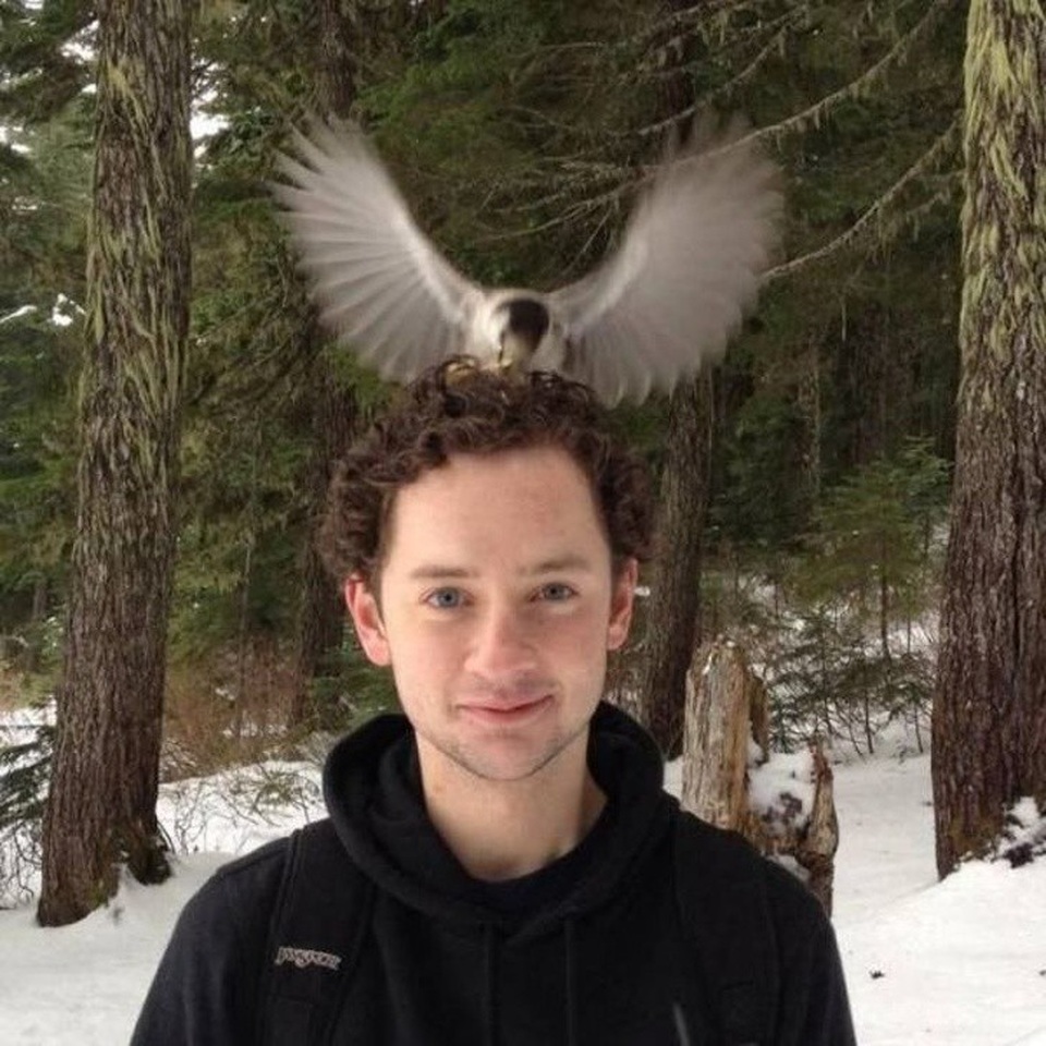 Phải chăng chú chim này đang bay về tổ?