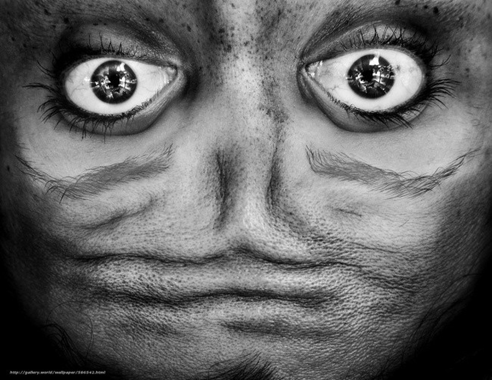 Một gương mặt đáng sợ? Nếu nhìn kỹ hơn, bạn sẽ nhận ra sự thật