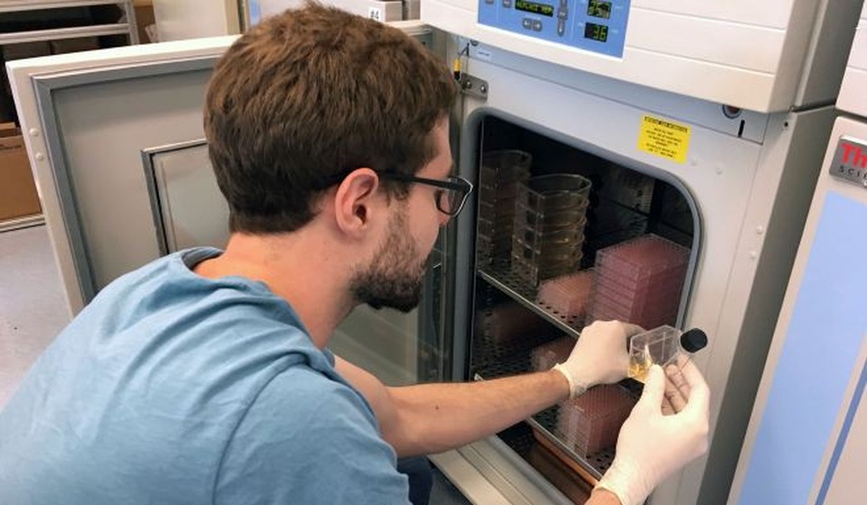 
Nhà khoa học làm việc tại trung tâm ung thư tại bệnh viện Johns Hopkins. (Ảnh: AFP)
