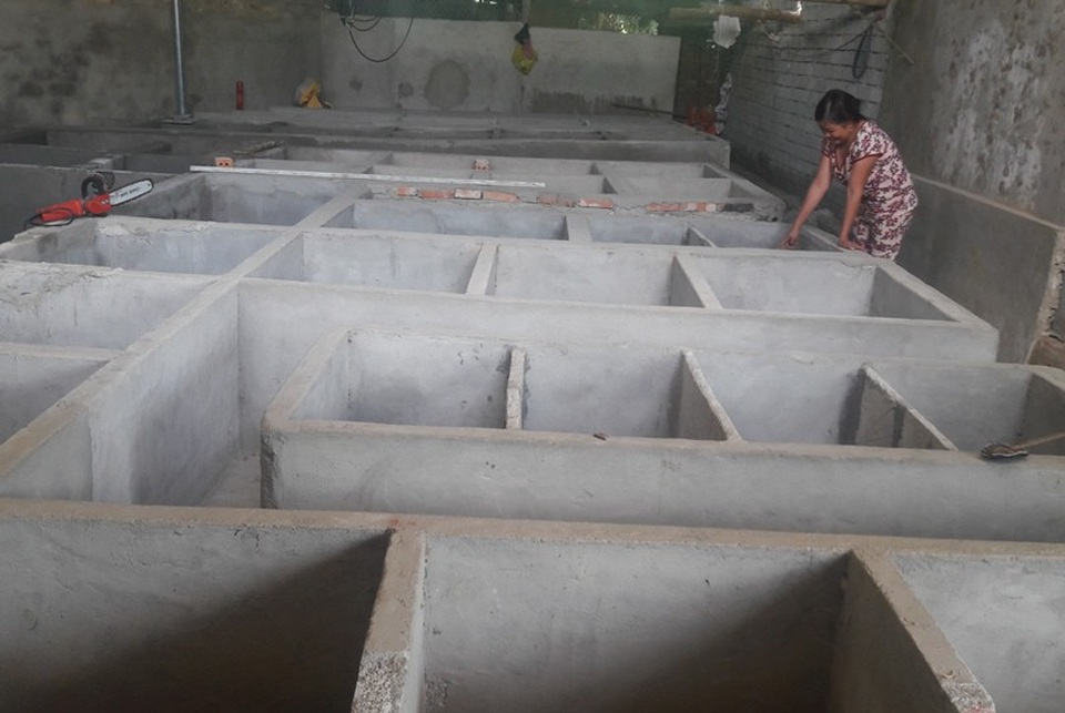 Chàng trai 9X thu nửa tỷ đồng mỗi năm nhờ nuôi dúi - 2 Trang trại nuôi dúi của Lâm với hàng trăm chuồng.