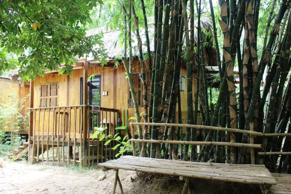 Đến Triêm Tây nghe cô gái Hà Nội kể câu chuyện sống theo quy luật của tự nhiên - 3 Xung quanh các ngôi nhà là những khóm tre, các loài hoa được trồng và chăm bón không chất hoá học.