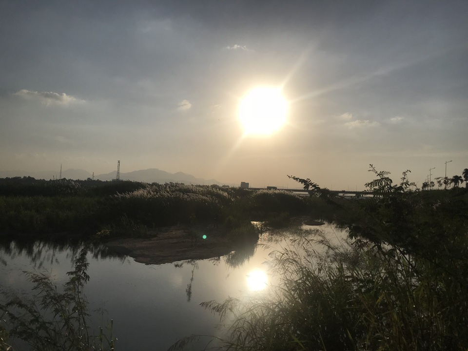Những vạt hoa cỏ lau đung đưa trong nắng chiều khiến dòng sông Trà Khúc càng trở nên thơ mộng. Dòng sông đầy hoa như xóa tan cái náo nhiệt, ồn ào của đô thị trung tâm Quảng Ngãi cách đó chưa đầy 2 km.