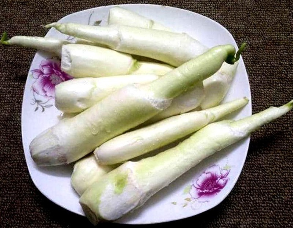Mỗi năm chỉ 1 mùa, ngày bán 2.000 củ, lãi đủ 100 triệu đồng/tháng - 2
Củ niễng là một đặc sản nổi tiếng ở Nam Định, năm chỉ có một lần với thời gian kéo dài khoảng 1 tháng