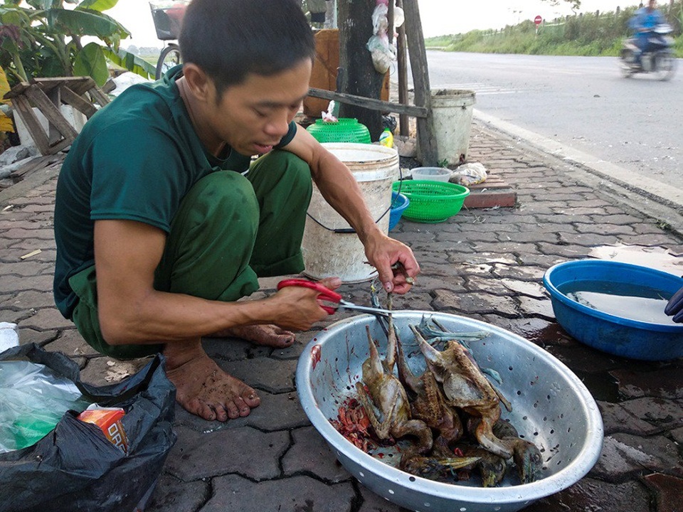 Chim hoang dã bị bày bán, làm thịt công khai bên đường Hà Nội - 9
Sự xuất hiện của chợ chim trời này đã khiến nhiều người dân quanh vùng bức xúc, nhất là những người có ý thức bảo vệ thiên nhiên hoang dã.
