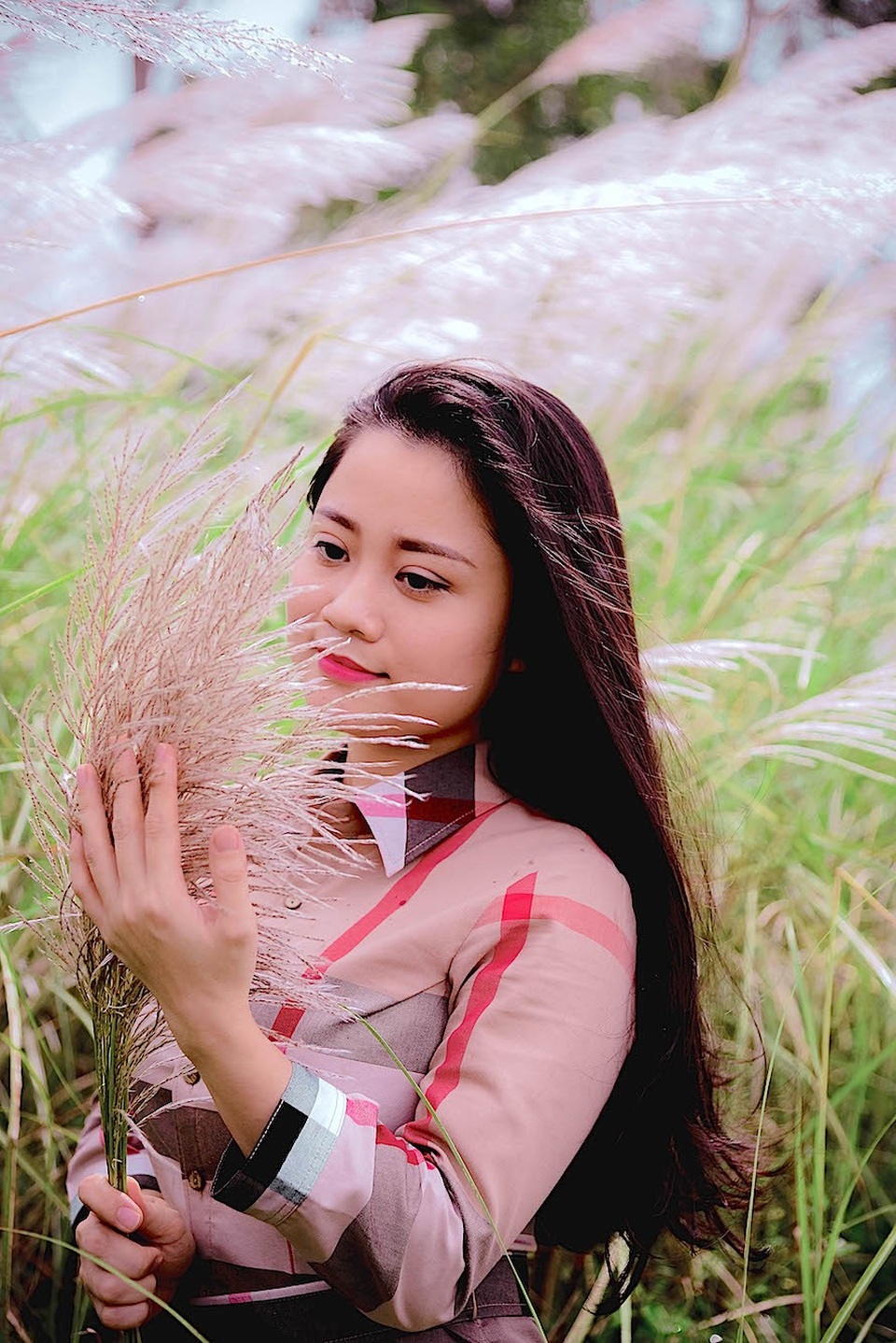 Đã mắt bãi cỏ lau giữa đô thị biển Cửa Lò - 2 Nét quyến rũ của thiếu nữ trên bãi cỏ lau được các nhiếp ảnh gia ghi lại tại vùng cỏ lau trên phố Biển Cửa Lò. Ảnh: Nguyễn Lăng