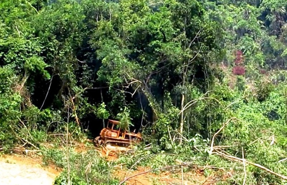 Một số đối tượng tự ý đưa máy móc vào san ủi đất rừng