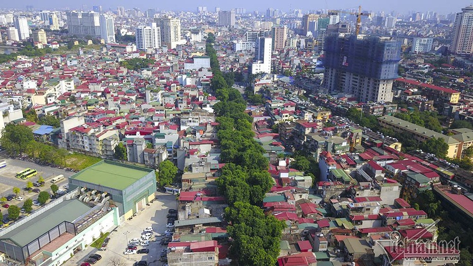 Tuyến đường "đắt nhất hành tinh", hàng nghìn người rục rịch chuyển nhà - 9
Hàng cây xà cừ cổ thụ chạy dọc tuyến đường