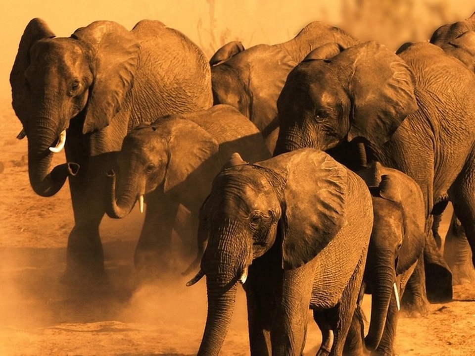 Những chuyến đi thay đổi cuộc đời bạn - 1 Những chuyến đi thay đổi cuộc đời bạn - 1