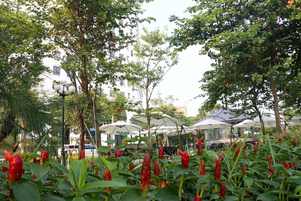 Chiêm ngưỡng vẻ đẹp của khu căn hộ đẳng cấp bậc nhất Long Biên - 5 Chiêm ngưỡng vẻ đẹp của khu căn hộ đẳng cấp bậc nhất Long Biên - 5