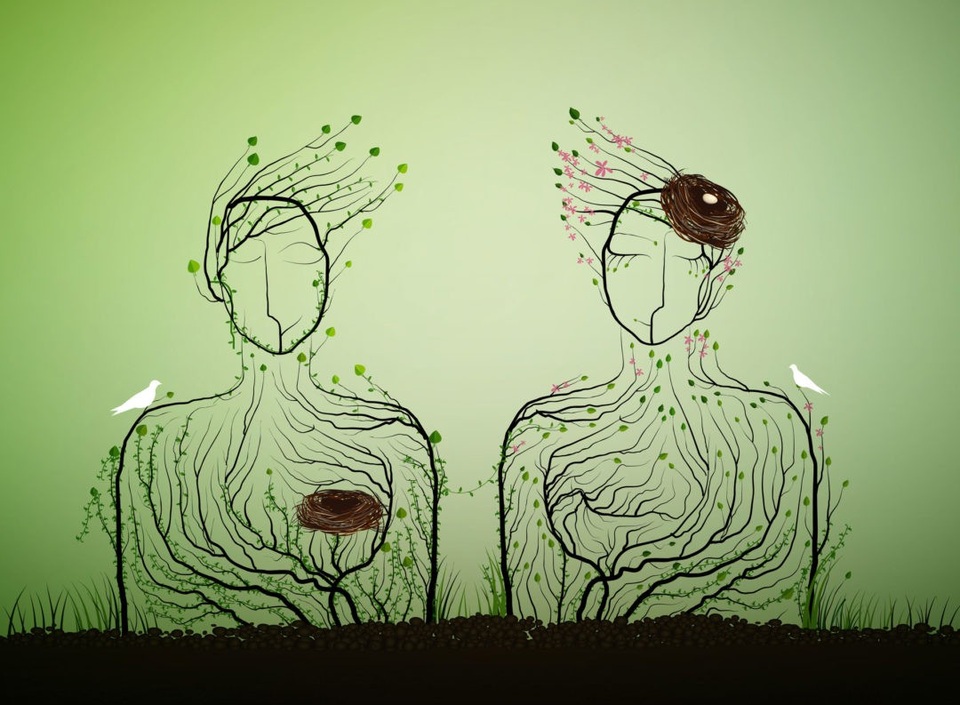 Con người “vội vã” đưa ra những quyết định của cuộc đời ra sao? - 2 Con người “vội vã” đưa ra những quyết định của cuộc đời ra sao? - 2