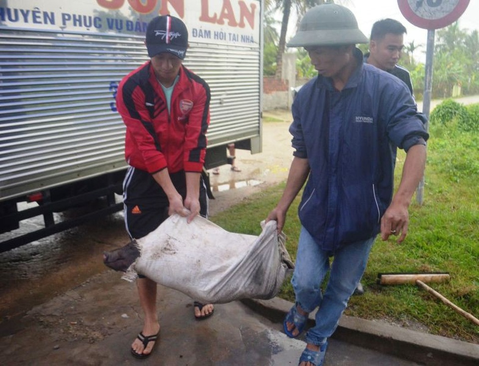 Dựng rạp, mổ lợn xem chung kết AFF cup tại nhà Văn Đức, Quang Hải - 7
Sẵn sàn mổ lợn chiêu đãi bà con và khán giả.