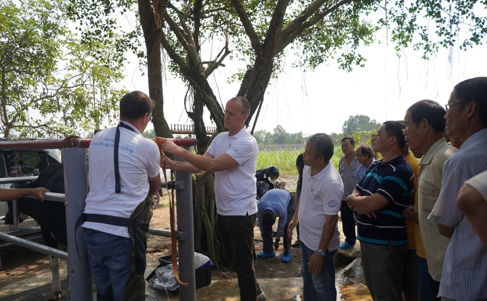 Giao lưu, tập huấn kỹ thuật chăn nuôi bò sữa - 2 Nông dân Hà Lan chia sẻ kinh nghiệm bằng thực hành tại chuồng trại