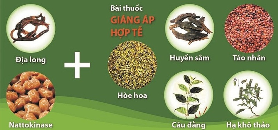 Phát hiện hoạt chất quý ngừa tai biến có trong hoa hòe - 3 Sự kết hợp hài hòa giữa các vị dược liệt quý đã tạo nên TPBVSK Hạ Áp Ích Nhân