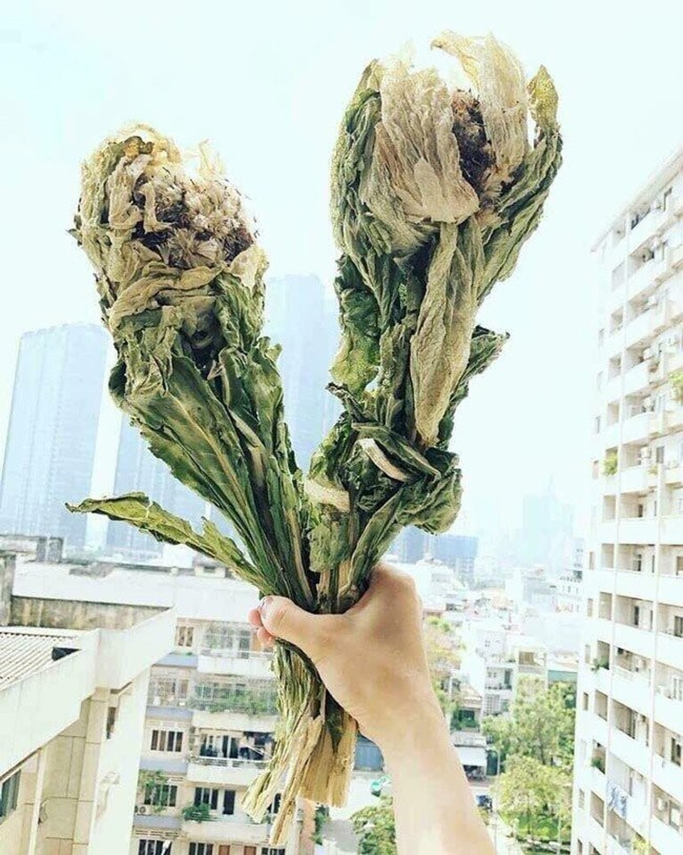 Cận cảnh bông hoa không dưới 5 triệu đồng đang được dân chơi Việt săn lùng - 13
“Nhiều người biết tôi mua được loài hoa này nên đã hỏi mua và đặt mua giúp. Tuy nhiên, cũng rất khó khăn mới đặt mua được nên chỉ để dùng chứ không mang tính kinh doanh, thương mại” - vị chủ nhân cho biết.