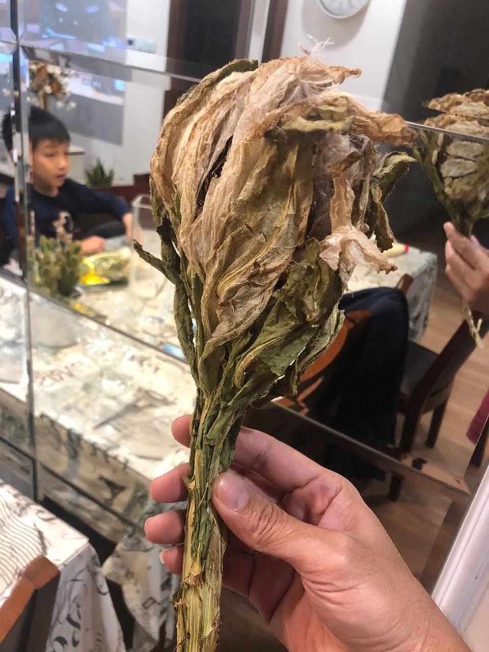 Cận cảnh bông hoa không dưới 5 triệu đồng đang được dân chơi Việt săn lùng - 6
Nhìn thoáng bề ngoài, bông hoa có hình thù như một búp sen, lá to, dày và rộng bao bọc lấy bông phía trong. Bên trong nó là hoa với những sợi bông.