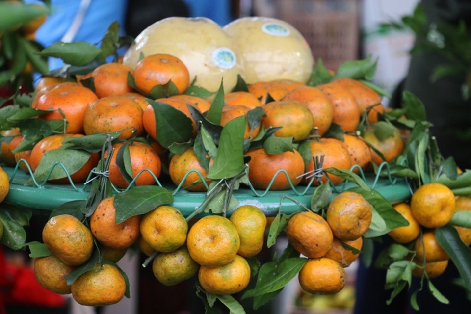 Sản vật Hà Tĩnh cùng hội tụ tại Lễ hội Cam - 1 Sản phẩm mang lại từ cây cam, bưởi…đã đóng góp quan trọng vào tốc độ tăng trưởng của ngành nông, lâm nghiệp. Hiện, Hà Tĩnh đã có trên 10.000 ha cây ăn quả; trong đó, cam hơn 6.800 ha, bưởi trên 3.200 ha, sản lượng đạt trên 60 ngàn tấn/năm, từng bước trở thành cây trồng chủ lực của nhiều địa phương.