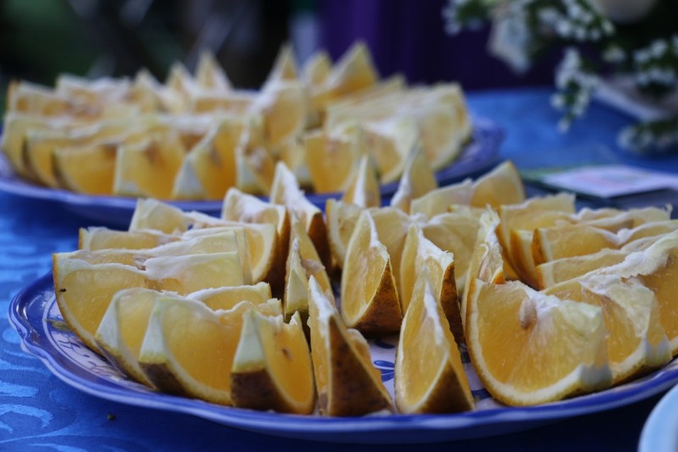 Sản vật Hà Tĩnh cùng hội tụ tại Lễ hội Cam - 12 Sản vật Hà Tĩnh cùng hội tụ tại Lễ hội Cam - 12