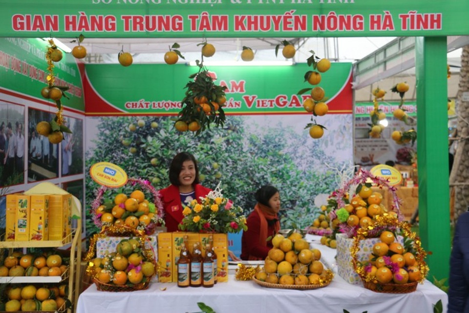 Sản vật Hà Tĩnh cùng hội tụ tại Lễ hội Cam - 4 Tham gia lễ hội có 80 gian hàng, trong đó, hơn 30 gian hàng trưng bày cam của các địa phương trong tỉnh; còn lại trưng bày các sản phẩm chủ lực khác như: Vật tư nông nghiệp và giống cây trồng, khoa học công nghệ, sản phẩm nông nghiệp - nông thôn tiêu biểu, sản phẩm thủ công mỹ nghệ của làng mộc Thái Yên (Đức Thọ)...